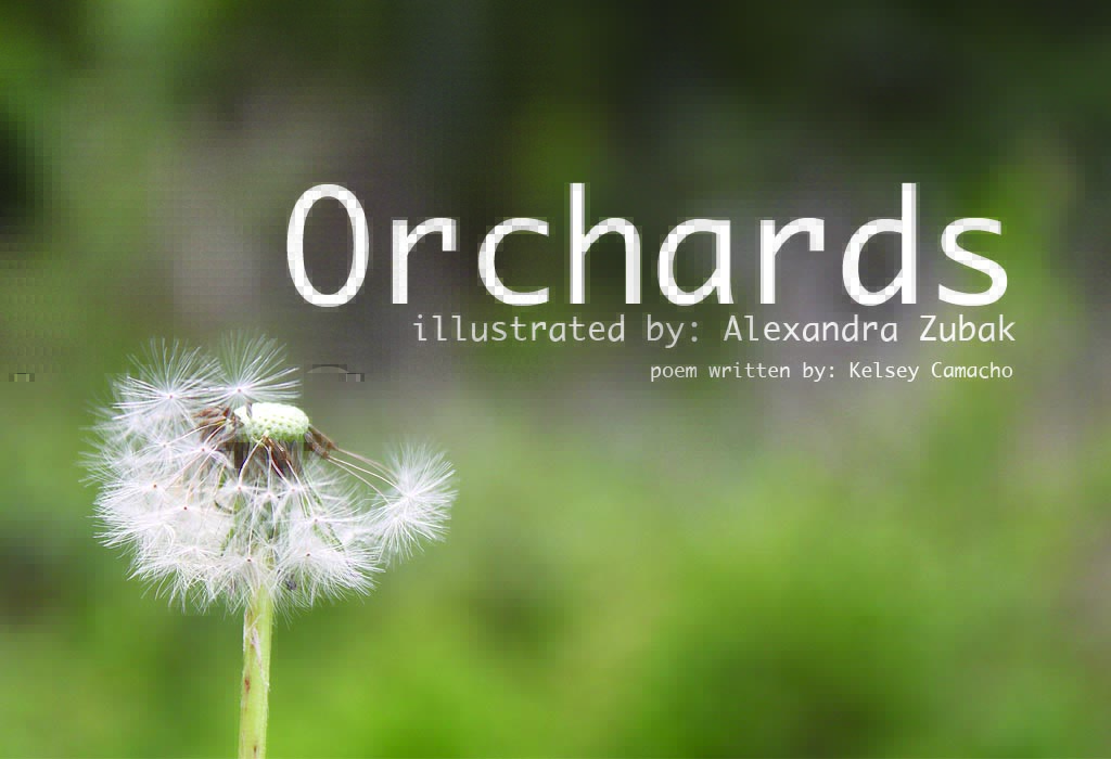 Orchards, illustrated by Alexandra Zubak, poem written by Kelsey Camacho